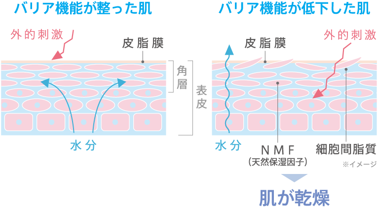 肌荒れ・乾燥・シミ・赤み・日焼け・毛穴目立ち