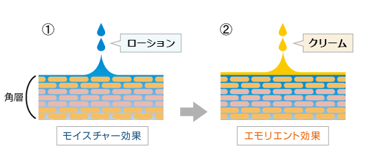 冬のスキンケアの基本は、“１にローション（保湿）、２にクリーム（保護）”