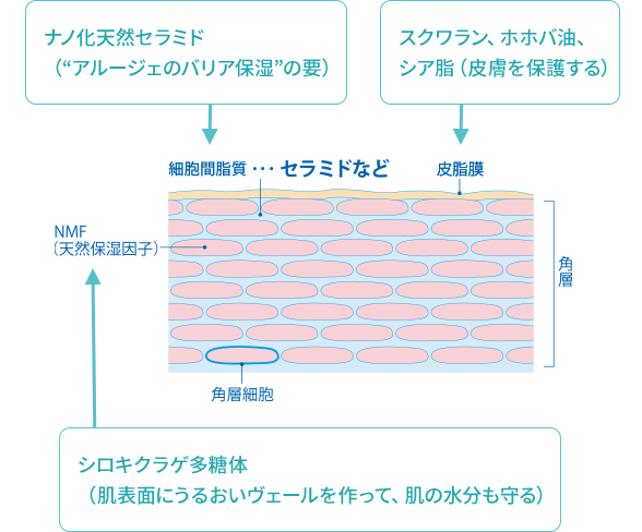 保湿成分