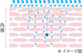 スーッと浸透して