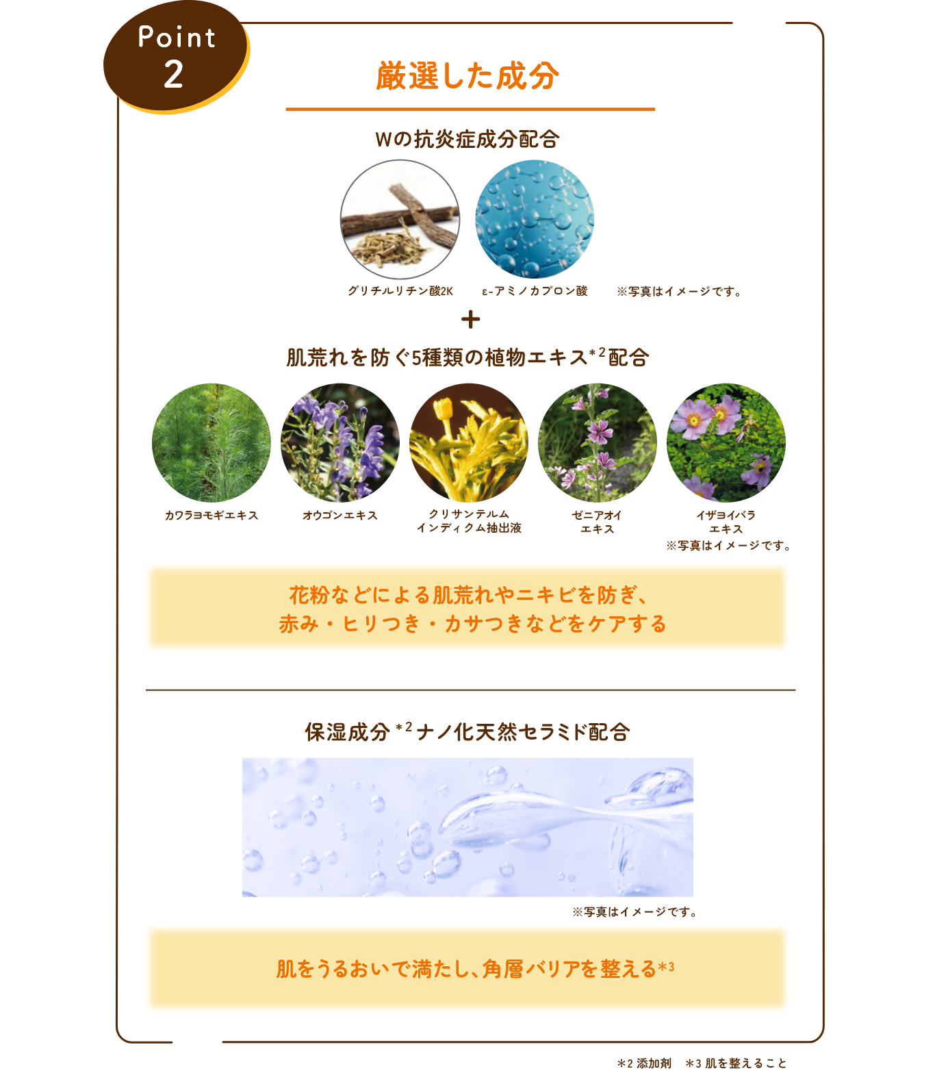 Point 2 厳選した成分