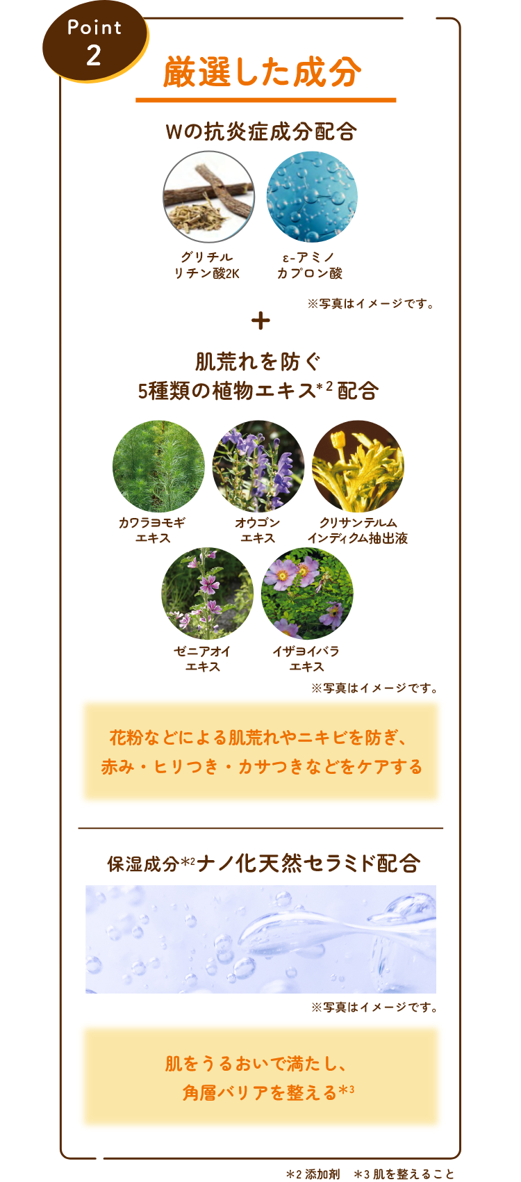 Point 2 厳選した成分