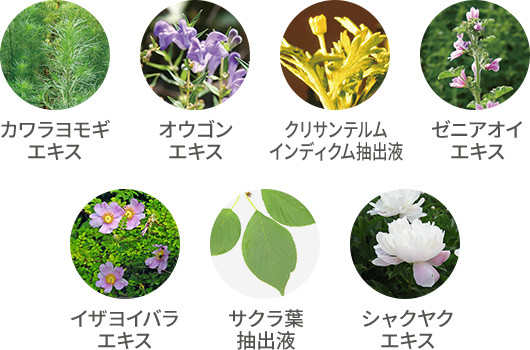 7種類の植物エキス