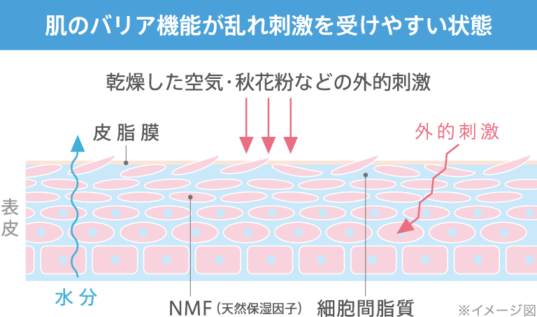 肌のバリア機能が乱れ刺激を受けやすい状態